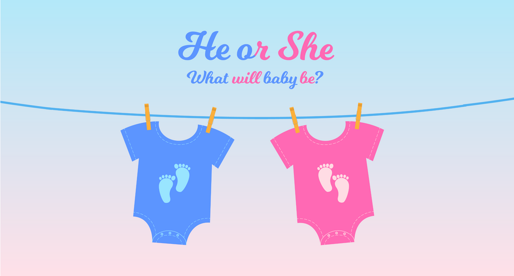 HE OR SHE - Customisable Stubby Holder